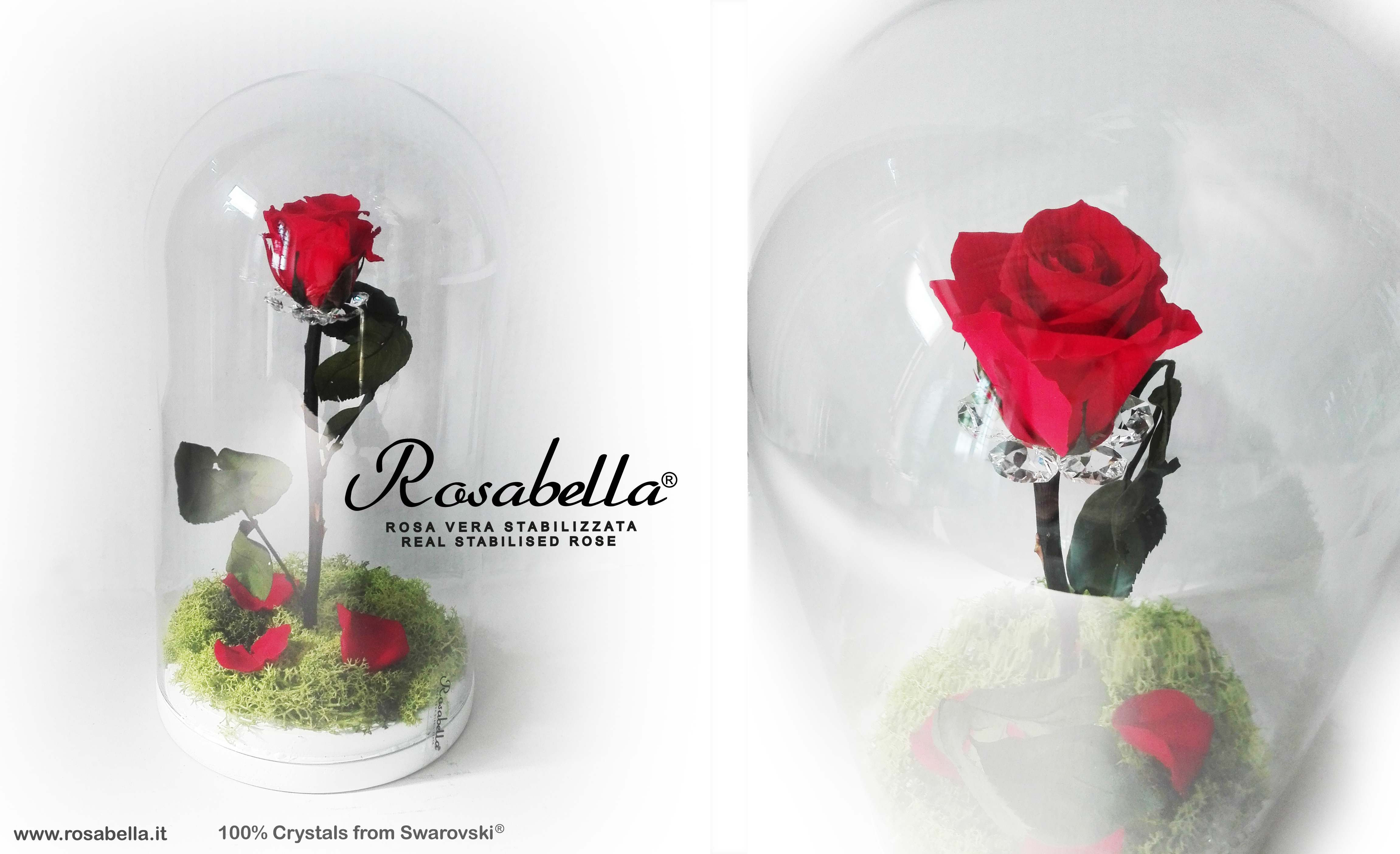 C'era una volta La Bella e la Bestia - ROSABELLA® - l'originale Rosa  Vera Stabilizzata, la tua Rosa Gioello