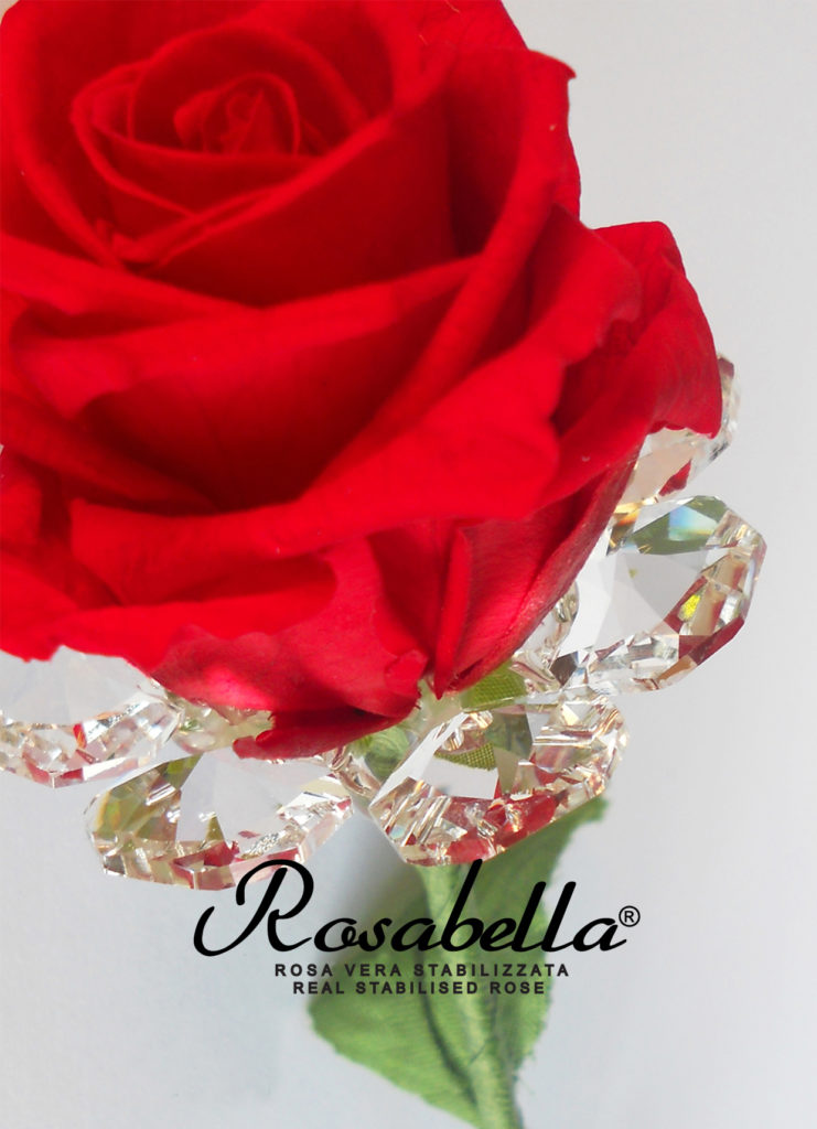 Girasoli - ROSABELLA® - l'originale Rosa Vera Stabilizzata, la tua Rosa  Gioello
