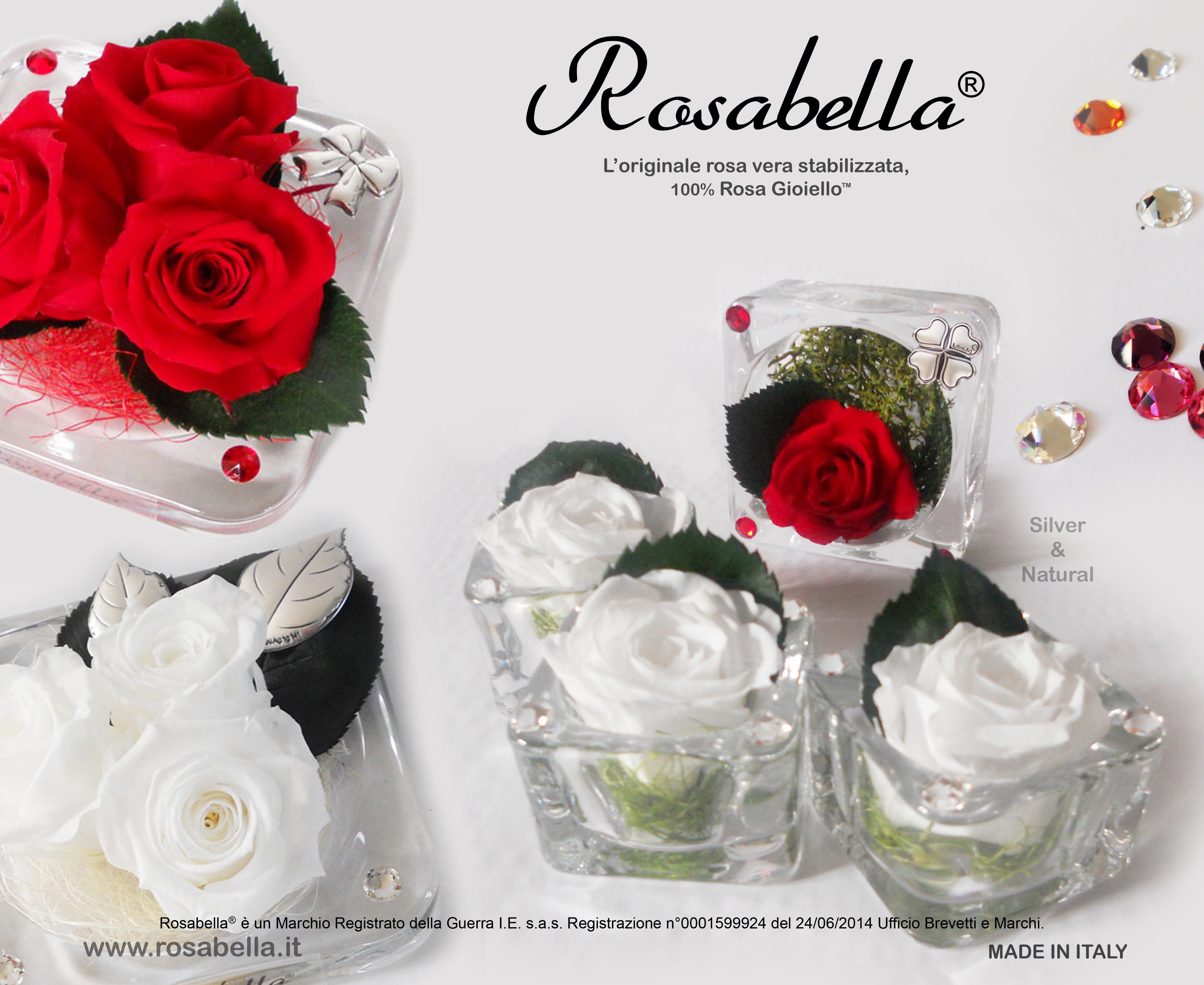 Collezioni - ROSABELLA® - l'originale Rosa Vera Stabilizzata, la tua Rosa  Gioello